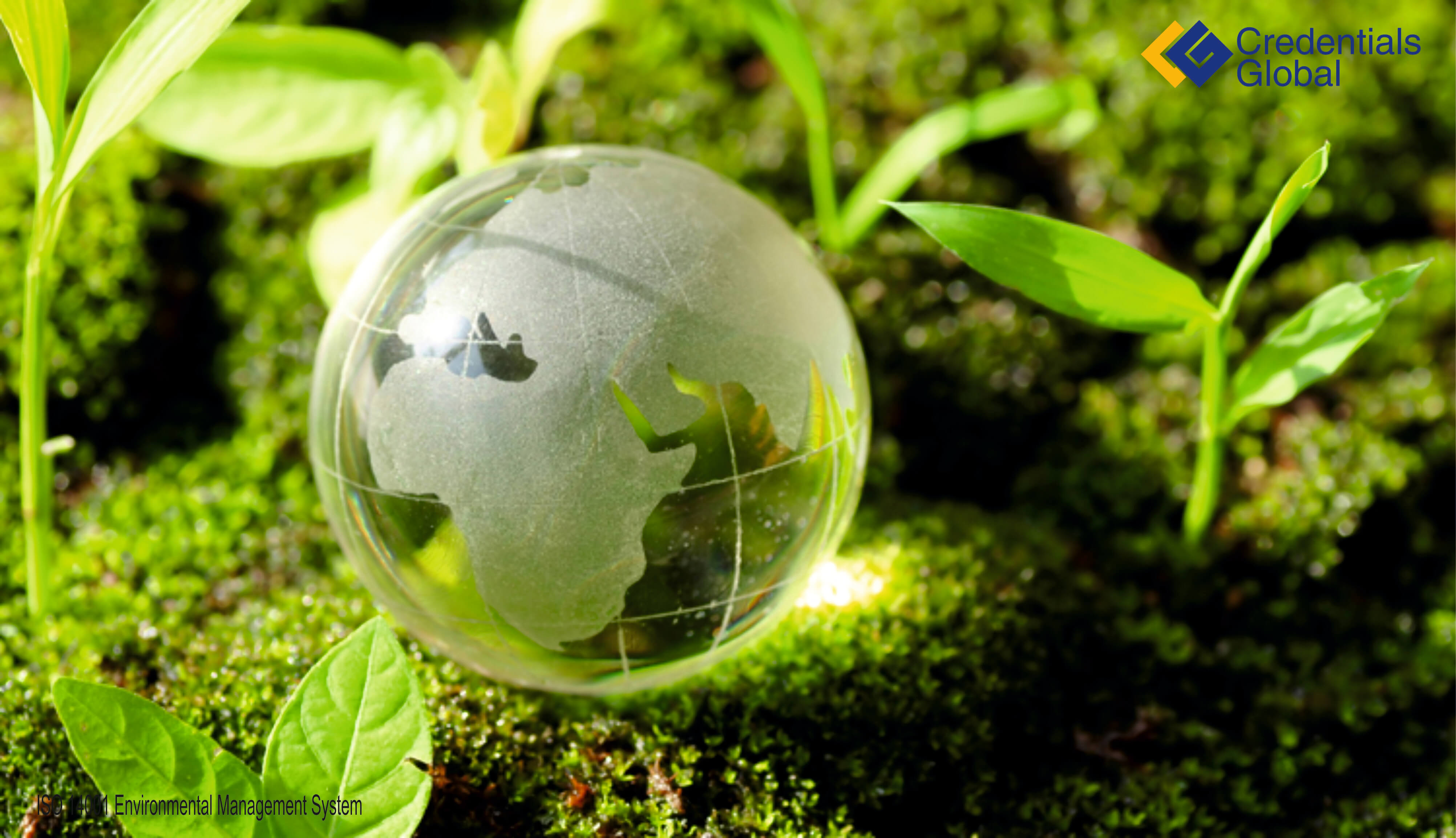 ENVIRONMENTAL MANAGEMENT FOR BUSINESS - BLANTYRE Elearning