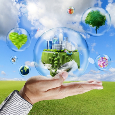 Environmental Management for Business